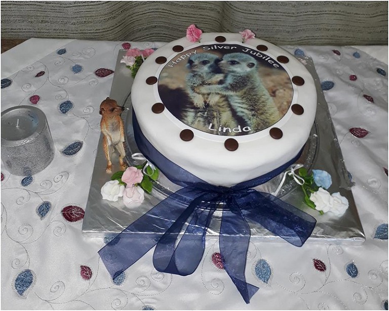 17b Meerkat Cake